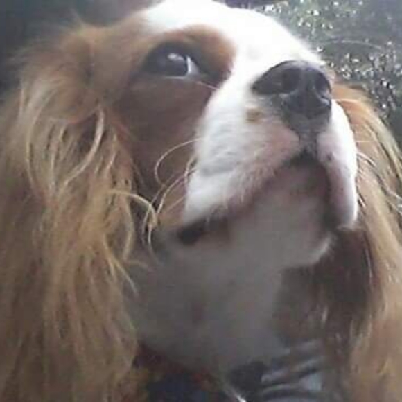 Crystals And Minerals - Picture 2 of 8